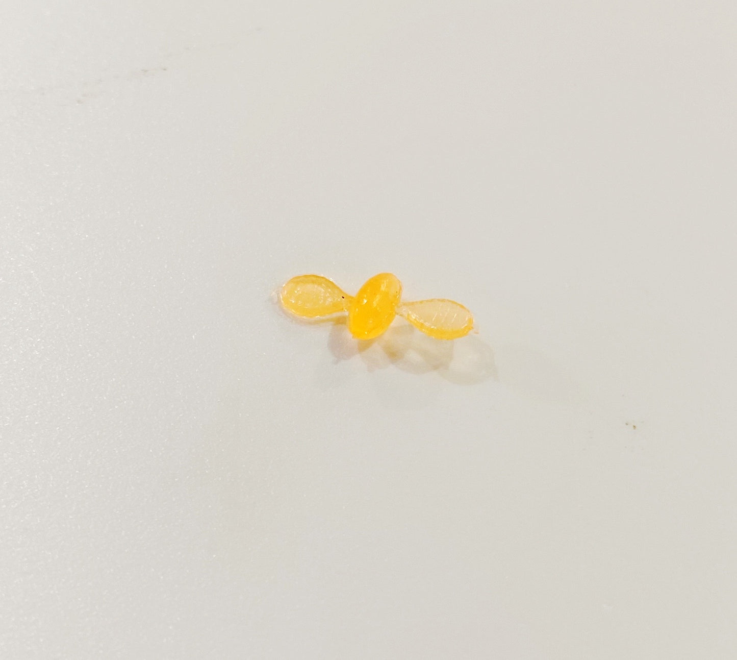 Micro Cyclo