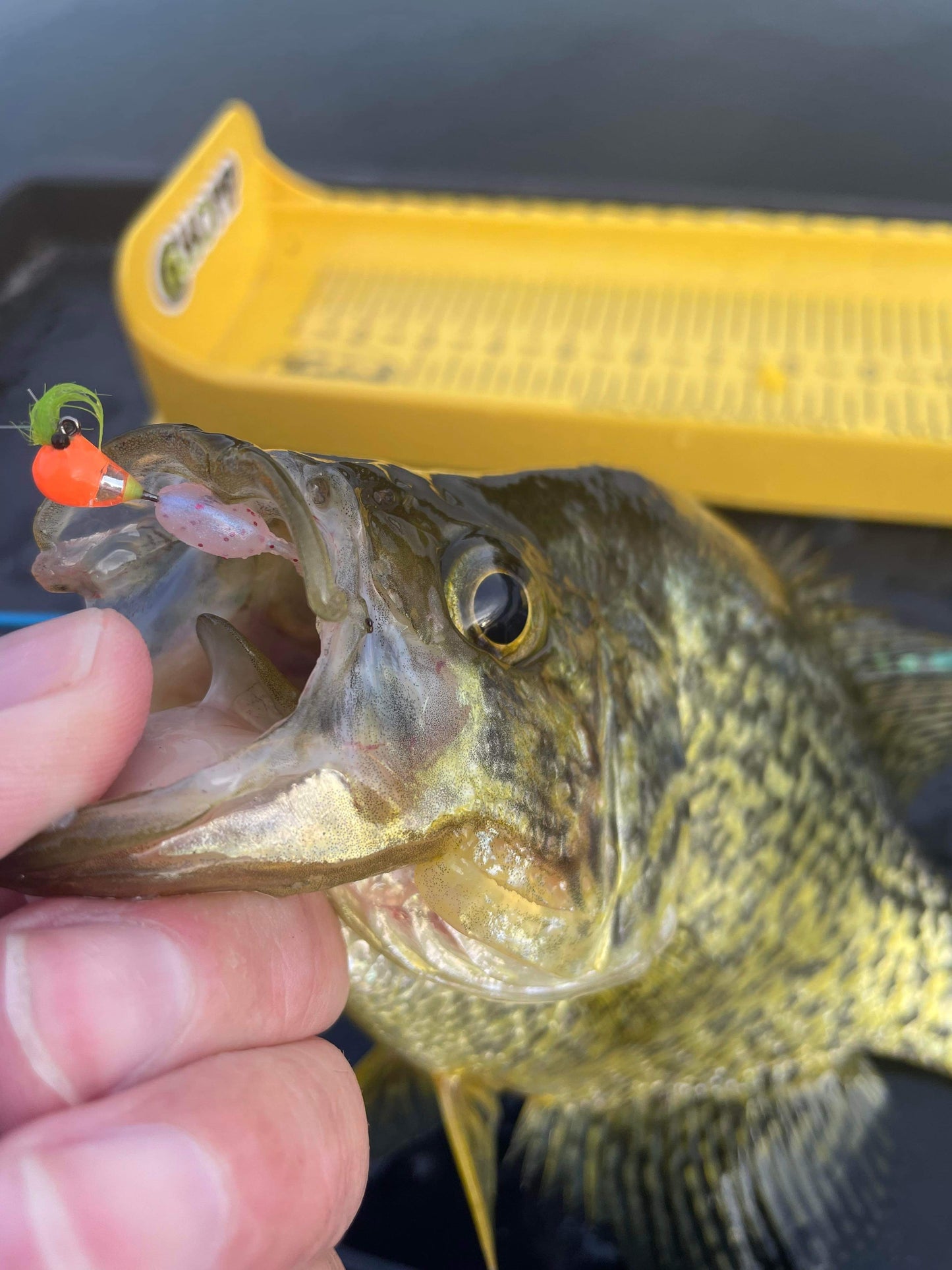 Lone Angler Pack