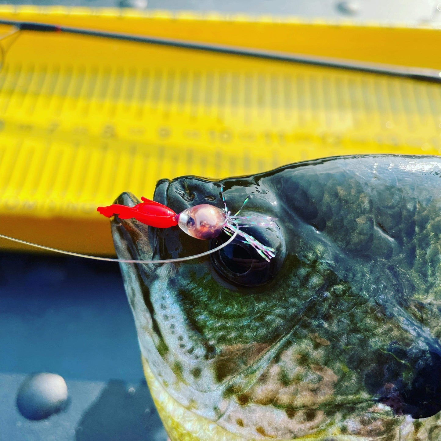 Lone Angler Pack