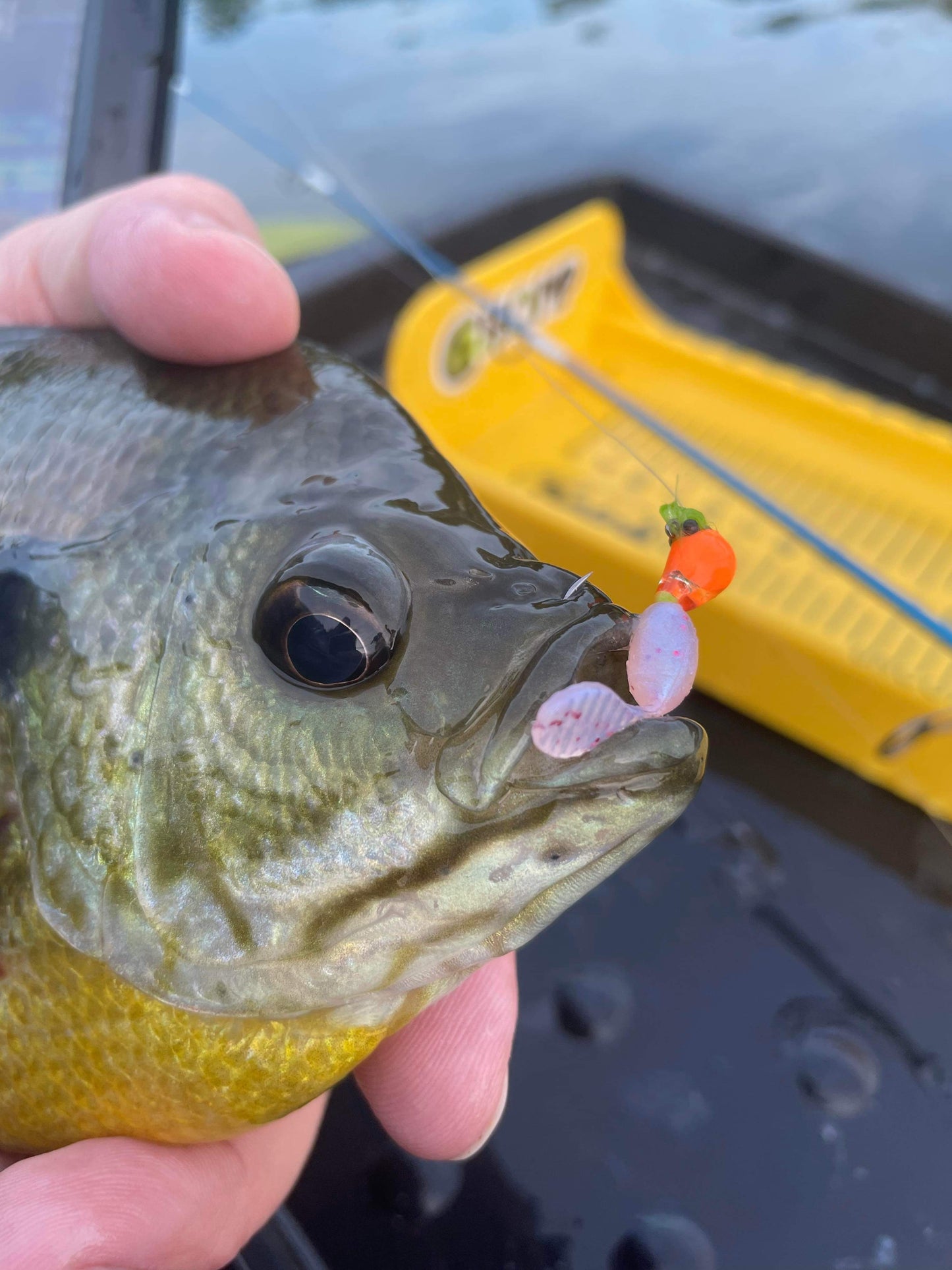 Lone Angler Pack