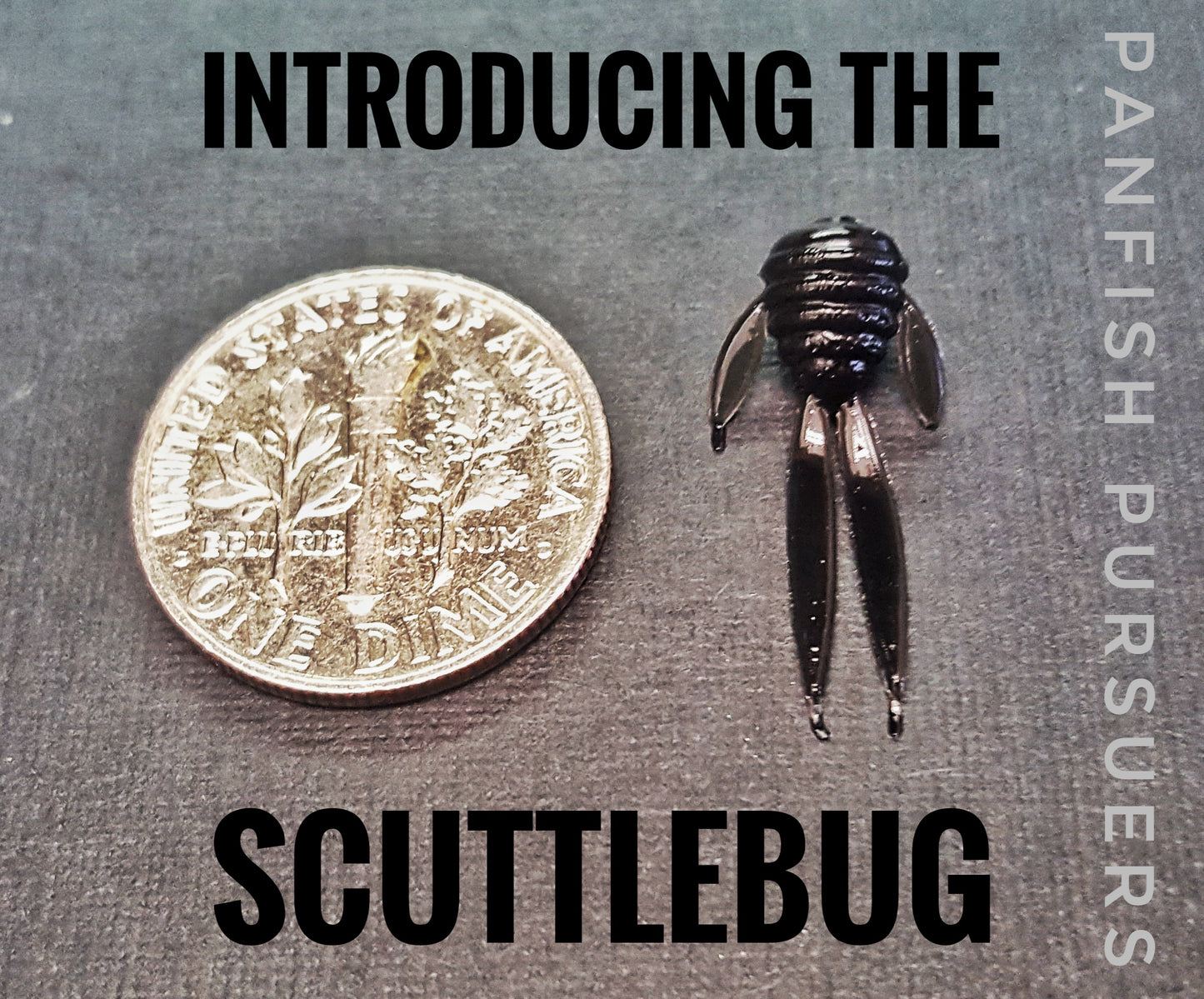 ScuttleBug